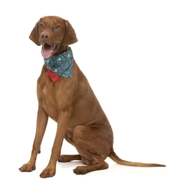 Xmas Bandana Ho Ho Howdy | Fuzzyard Fashion