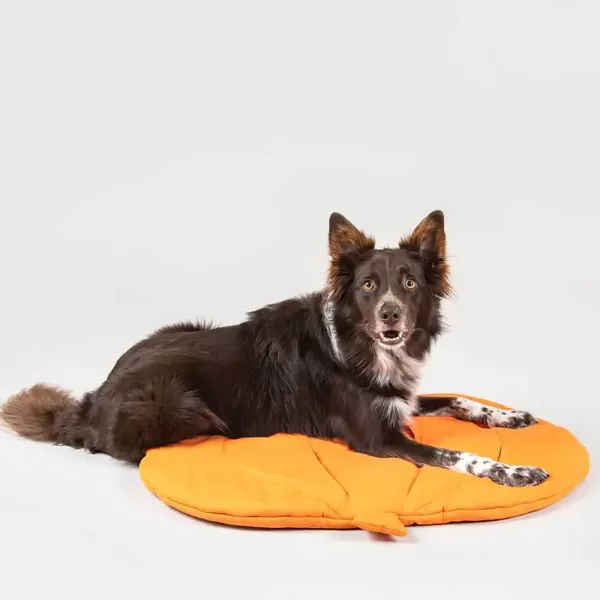 Playmat For Dogs - Pumpkin | Paikka Outlet